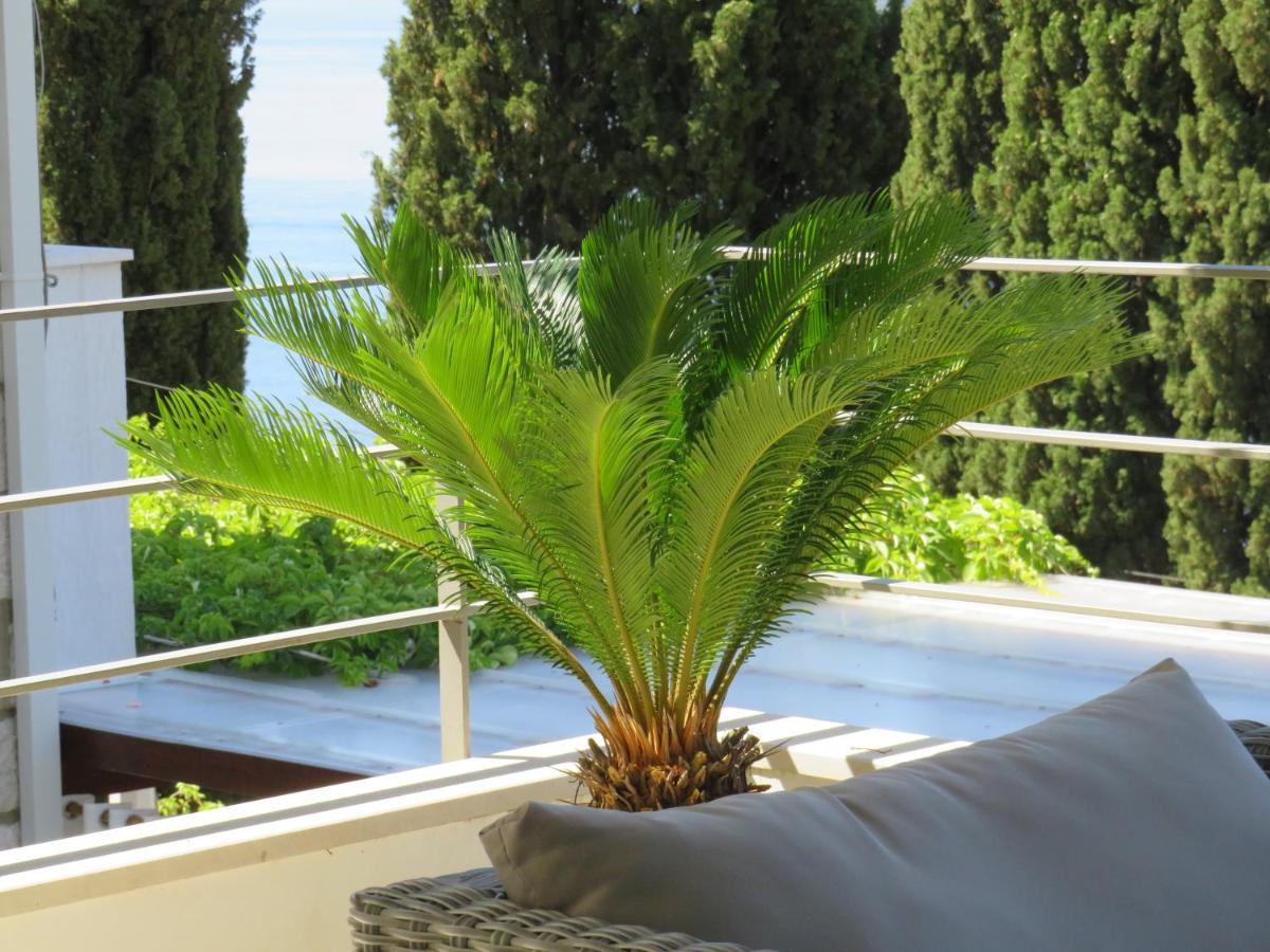 Villa King Dubrovnik Exterior photo